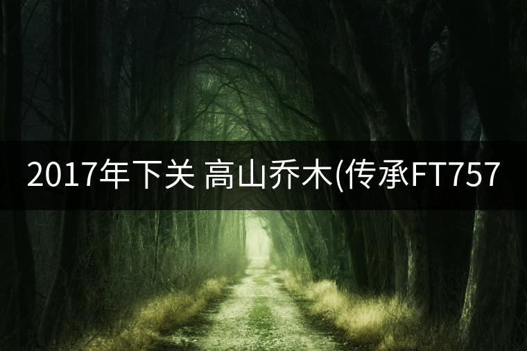2017年下關(guān) 高山喬木(傳承FT7573)開湯