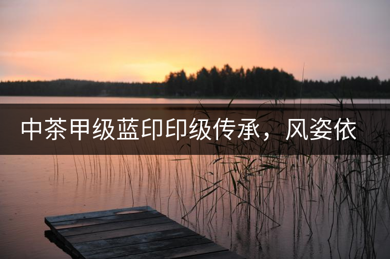 中茶甲級藍(lán)印印級傳承，風(fēng)姿依舊