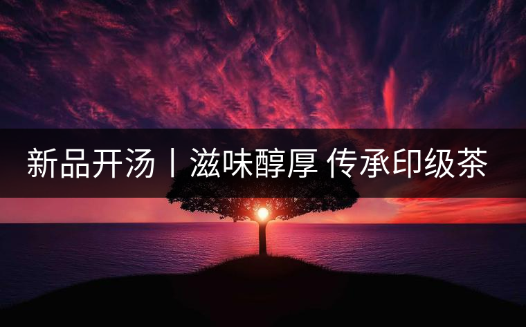 新品開湯丨滋味醇厚 傳承印級茶風(fēng)韻 新品開湯丨滋味醇厚 傳承印級茶風(fēng)韻