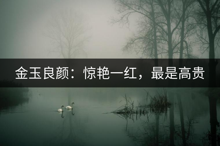 金玉良顏：驚艷一紅，最是高貴