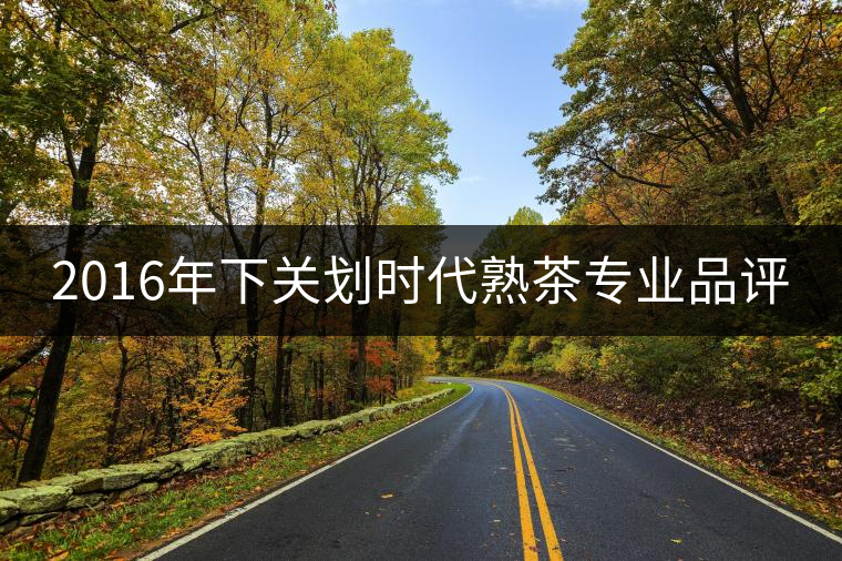 2016年下關(guān)劃時(shí)代熟茶專業(yè)品評 2016年下關(guān)劃時(shí)代熟茶專業(yè)品評