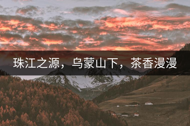 珠江之源，烏蒙山下，茶香漫漫