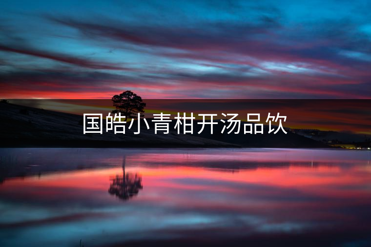 國皓小青柑開湯品飲 國皓小青柑開湯品飲