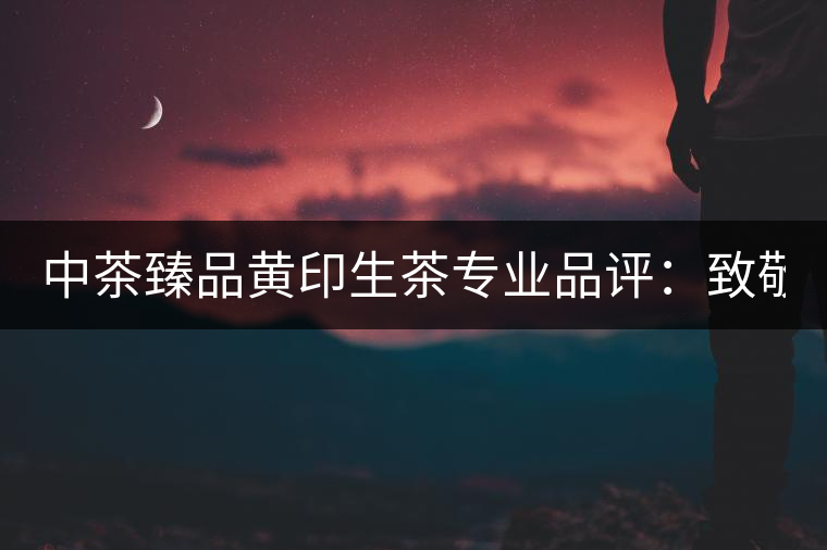 中茶臻品黃印生茶專業(yè)品評(píng)：致敬經(jīng)典 再啟新篇