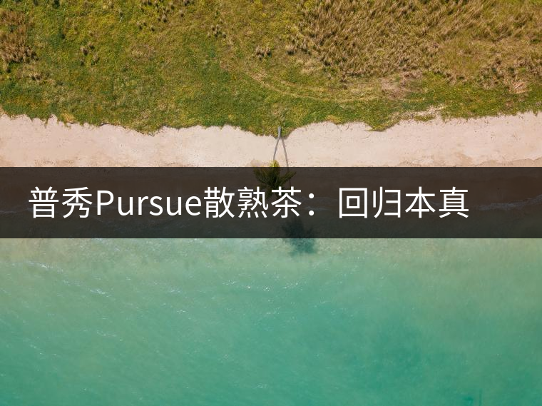 普秀Pursue散熟茶：回歸本真，一款高性價比口糧散熟茶