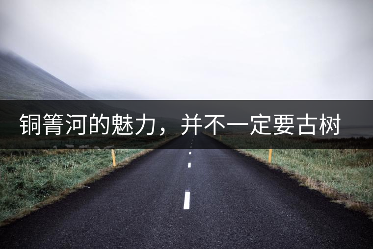 銅箐河的魅力，并不一定要古樹(shù)來(lái)體現(xiàn)