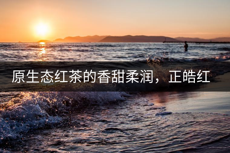 原生態(tài)紅茶的香甜柔潤，正皓紅的魅力無可抵擋！