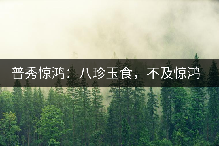 普秀驚鴻：八珍玉食，不及驚鴻一湯