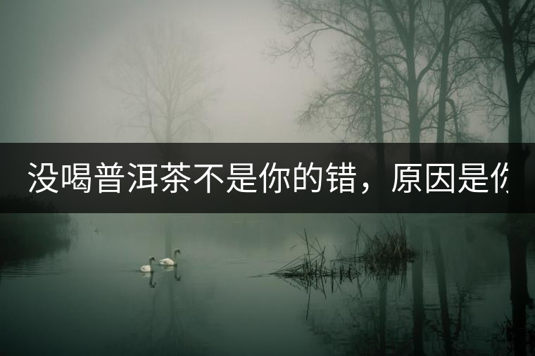 沒喝普洱茶不是你的錯(cuò)，原因是你還沒遇到Y(jié)671與Y562