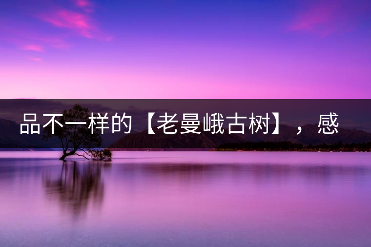 品不一樣的【老曼峨古樹】，感受別樣甘甜與溫婉