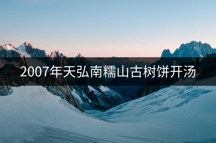 2007年天弘南糯山古樹餅開湯 2007年天弘南糯山古樹餅開湯