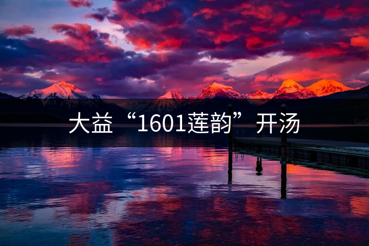 大益“1601蓮韻”開湯 大益“1601蓮韻”開湯
