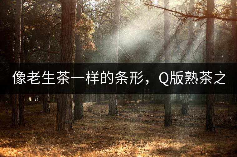 像老生茶一樣的條形，Q版熟茶之【融璞】