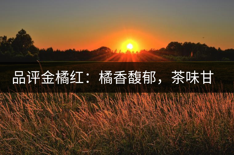 品評(píng)金橘紅：橘香馥郁，茶味甘醇，匠心拼配，臻于至善