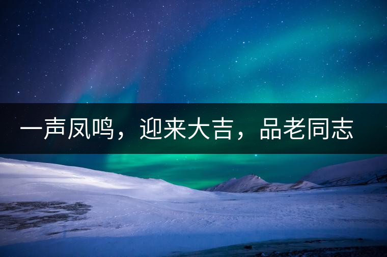 一聲?shū)P鳴，迎來(lái)大吉，品老同志鳳鳴吉至