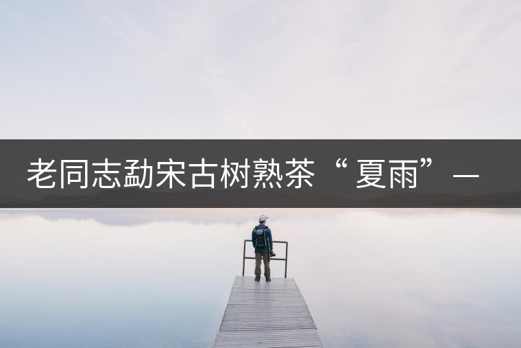 老同志勐宋古樹熟茶“ 夏雨”— 飲茶伴夏，只為您！