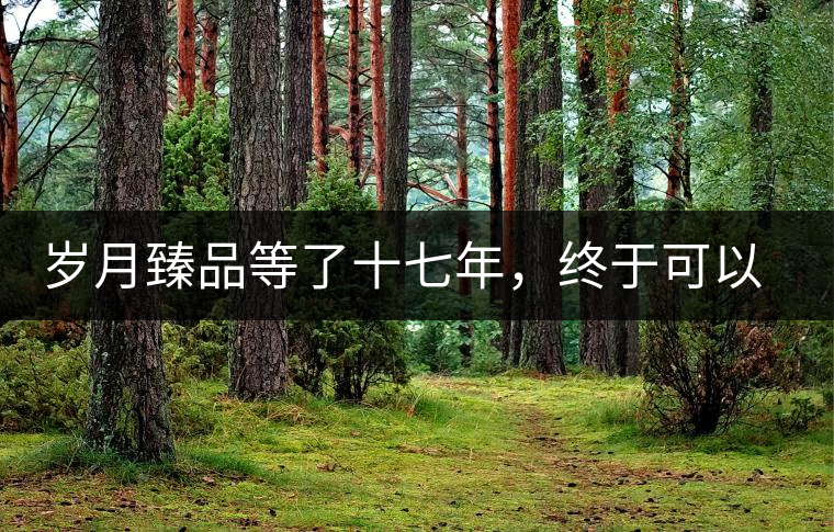 歲月臻品等了十七年，終于可以品味歲月