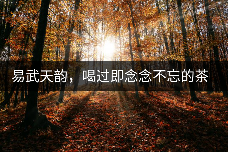 易武天韻,喝過(guò)即念念不忘的茶中皇后 易武天韻,喝過(guò)即念念不忘的茶中皇后