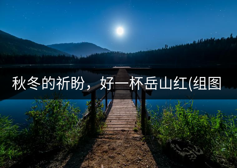 秋冬的祈盼，好一杯岳山紅(組圖)