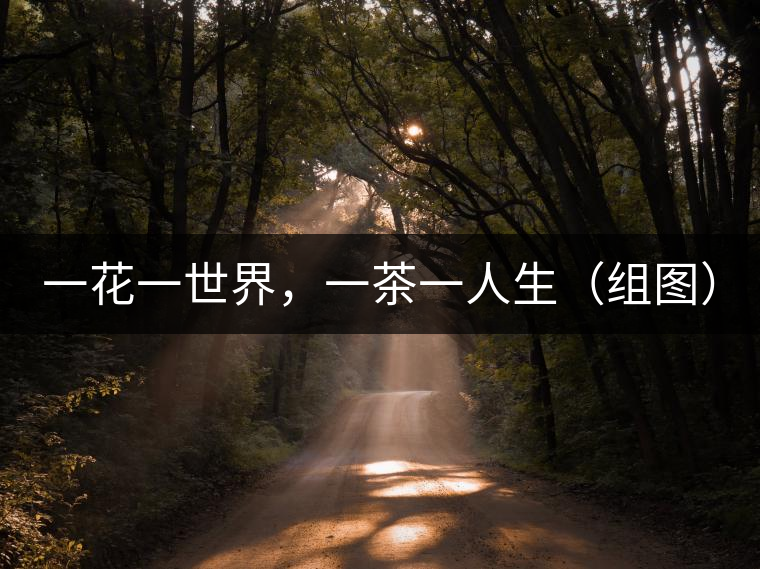 一花一世界，一茶一人生（組圖）