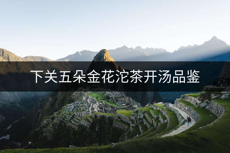 下關(guān)五朵金花沱茶開(kāi)湯品鑒 下關(guān)五朵金花沱茶開(kāi)湯品鑒