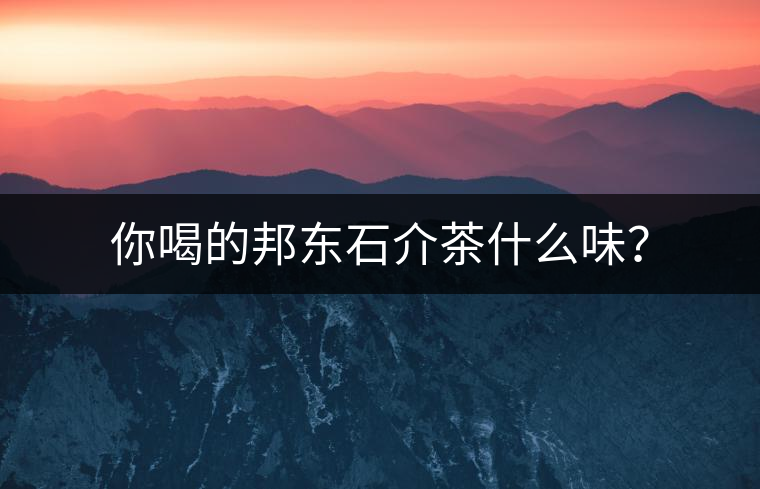 你喝的邦東石介茶什么味？