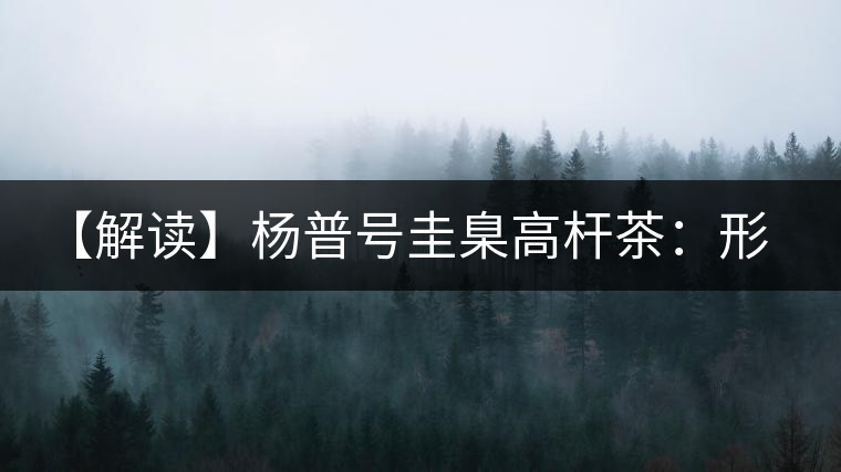 【解讀】楊普號(hào)圭臬高桿茶：形高、氣足、韻遠(yuǎn)的一款茶