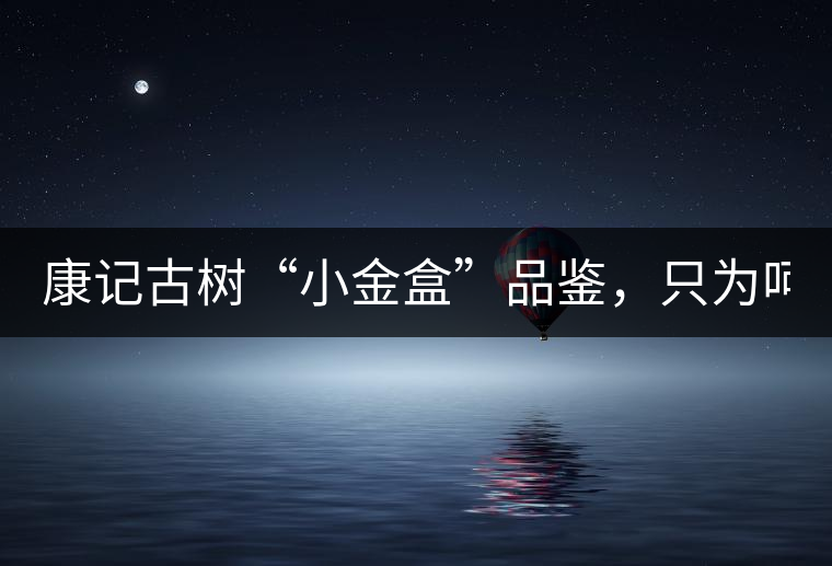 康記古樹“小金盒”品鑒，只為呵護您的味蕾！