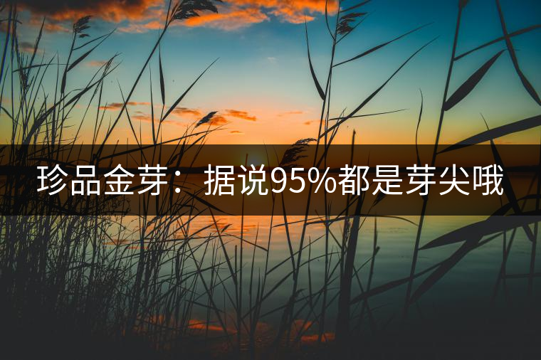 珍品金芽:據(jù)說(shuō)95%都是芽尖哦 珍品金芽:據(jù)說(shuō)95%都是芽尖哦