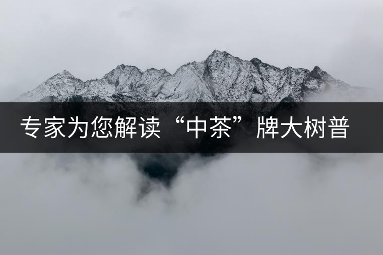 專家為您解讀“中茶”牌大樹普洱—落霞品評(píng)