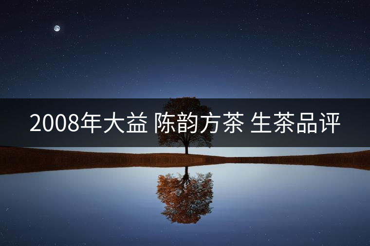 2008年大益 陳韻方茶 生茶品評 2008年大益 陳韻方茶 生茶品評
