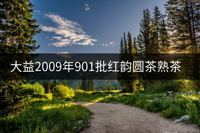 大益2009年901批紅韻圓茶熟茶品評 大益2009年901批紅韻圓茶熟茶品評