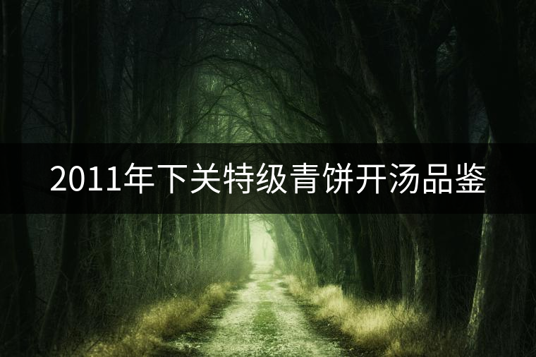 2011年下關特級青餅開湯品鑒