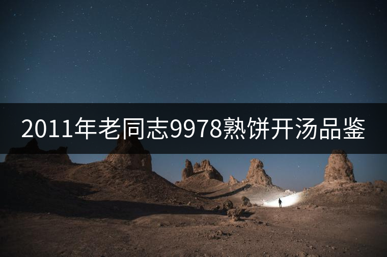 2011年老同志9978熟餅開湯品鑒