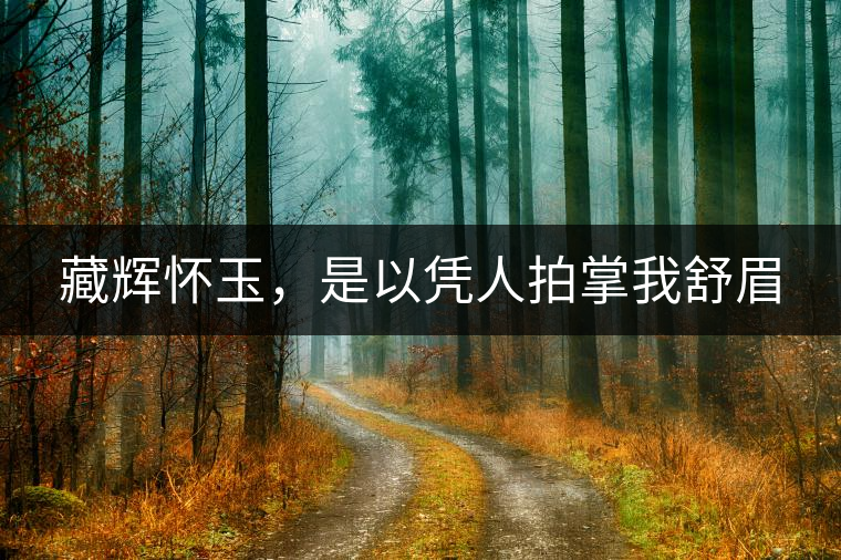 藏輝懷玉，是以憑人拍掌我舒眉