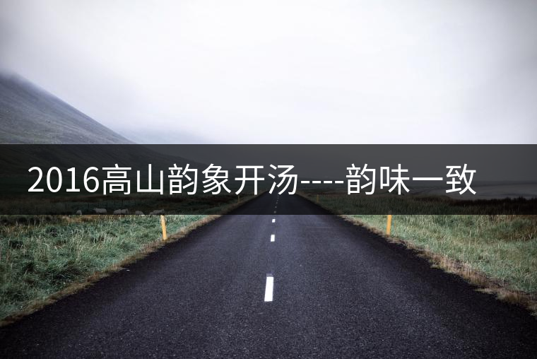 2016高山韻象開(kāi)湯----韻味一致的高山韻象 2016高山韻象開(kāi)湯----韻味一致的高山韻象