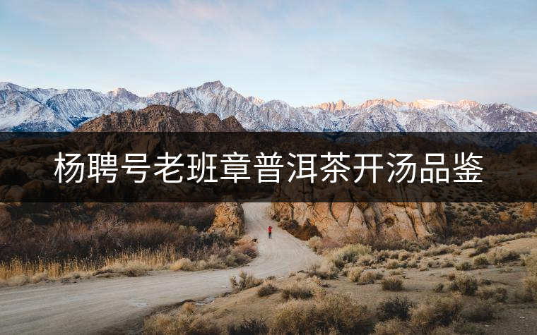 楊聘號老班章普洱茶開湯品鑒