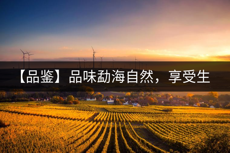 【品鑒】品味勐海自然，享受生活醇香