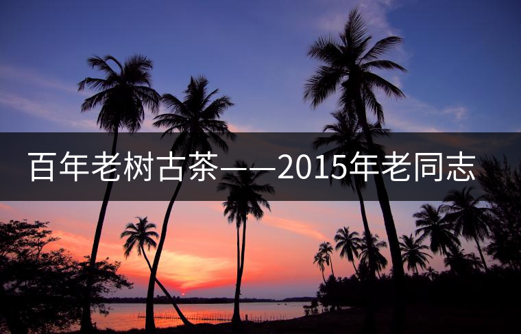百年老樹(shù)古茶——2015年老同志一號(hào)熟餅 百年老樹(shù)古茶——2015年老同志一號(hào)熟餅