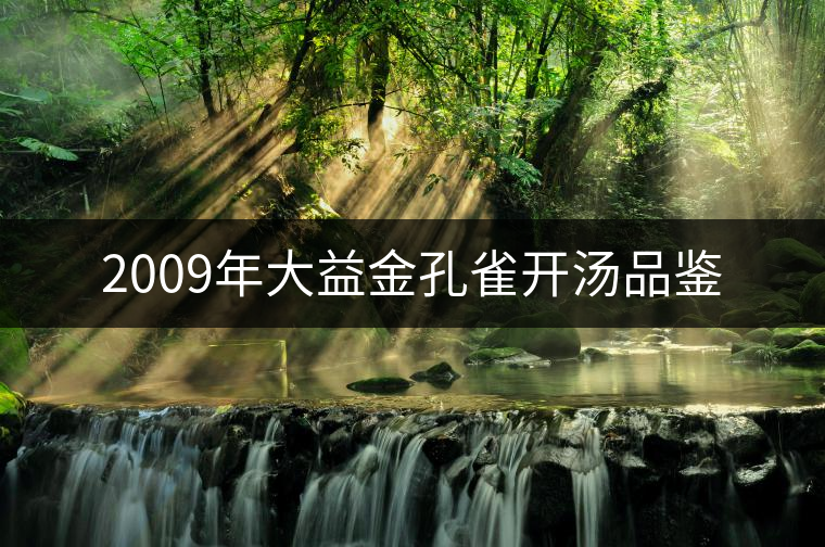 2009年大益金孔雀開(kāi)湯品鑒 2009年大益金孔雀開(kāi)湯品鑒