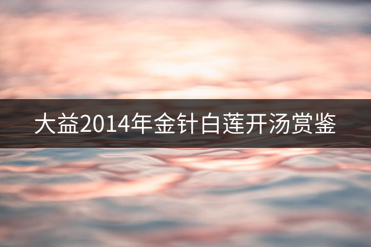 大益2014年金針白蓮開(kāi)湯賞鑒 大益2014年金針白蓮開(kāi)湯賞鑒
