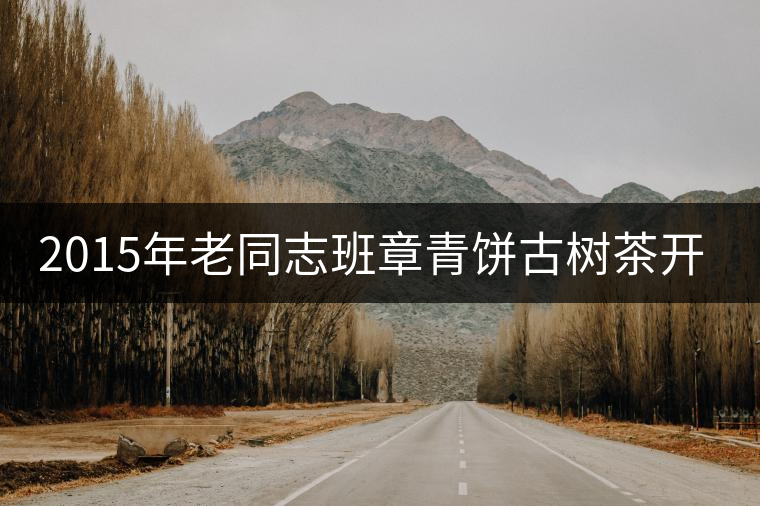 2015年老同志班章青餅古樹(shù)茶開(kāi)湯