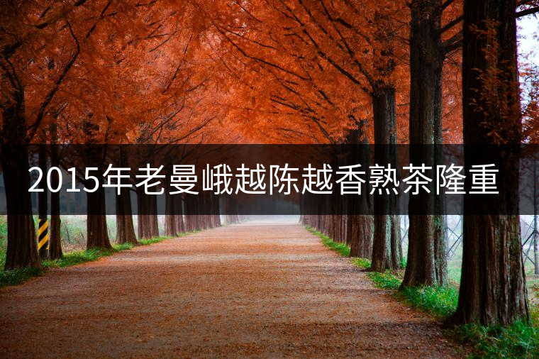 2015年老曼峨越陳越香熟茶隆重上市！