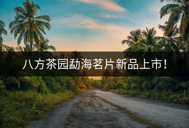 八方茶園勐海茗片新品上市！