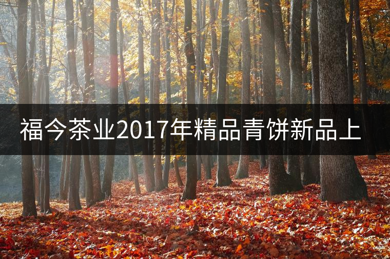 福今茶業(yè)2017年精品青餅新品上市 福今茶業(yè)2017年精品青餅新品上市