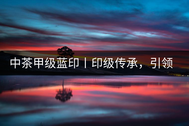 中茶甲級(jí)藍(lán)印丨印級(jí)傳承，引領(lǐng)風(fēng)韻