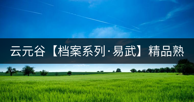 云元谷【檔案系列·易武】精品熟茶，精裝上市！