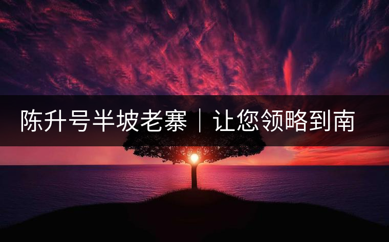 陳升號(hào)半坡老寨｜讓您領(lǐng)略到南糯山大樹茶口感的地道！