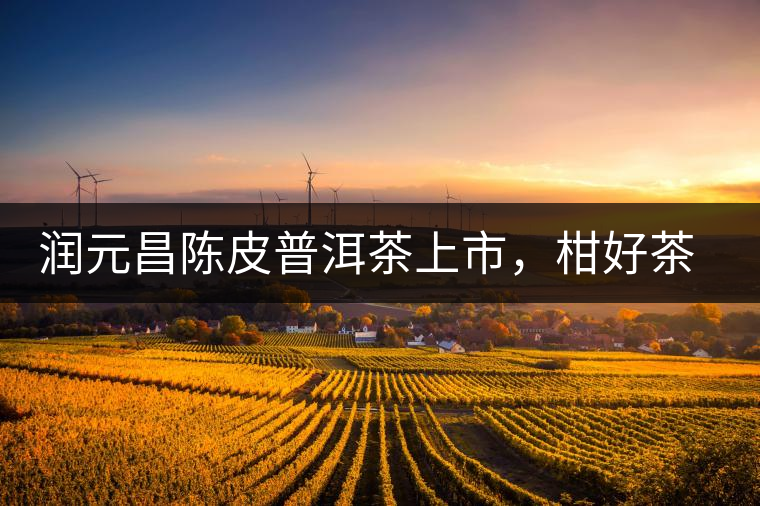 潤元昌陳皮普洱茶上市，柑好茶更好，精品普洱茶