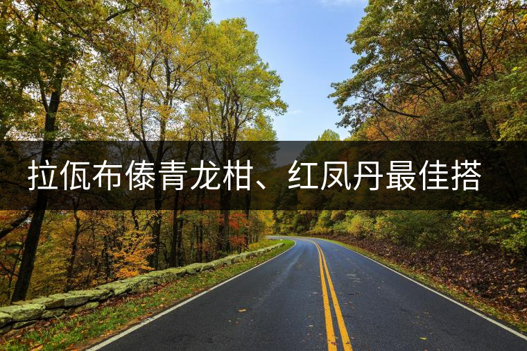 拉佤布傣青龍柑、紅鳳丹最佳搭檔，金秋聯(lián)袂上市